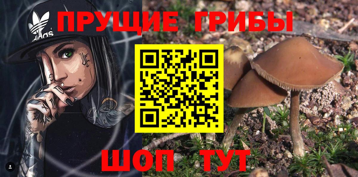 Псилоцибиновые грибы Psilocybine cubensis  продажа наркотиков  Усинск  Вход с VPN 